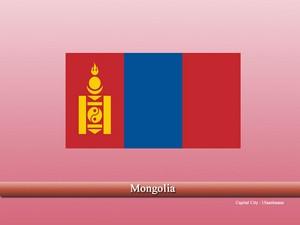 Vastu expert in Mongolia